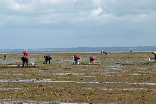 Passage du Gois