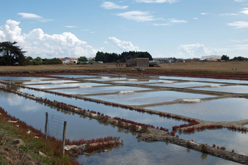 auf der le de Noirmoutier