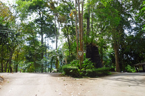 im Khao Sok Nationalpark