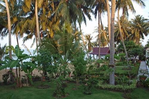 Ausblick vom Bungalow