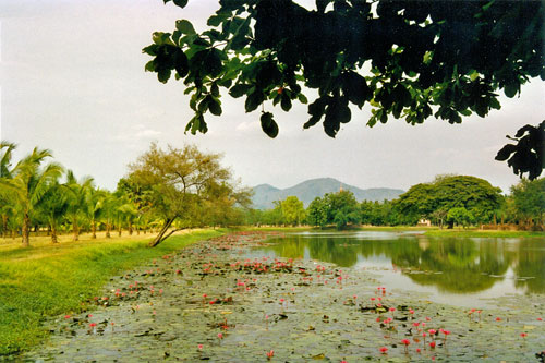 Geschichtspark Sukhothai