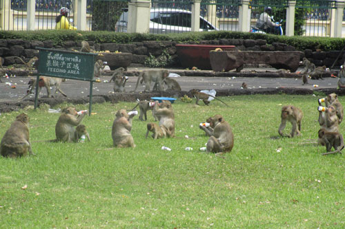 Sufer im Sarn Phra Karn 