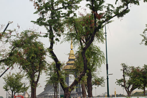 Sanam Luang 