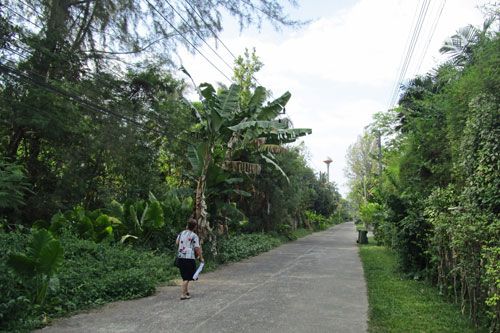 unterwegs in Ban Bang Niang