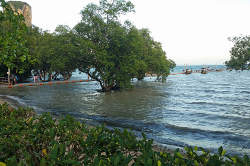 Ausblick vom Pool zur East Beach