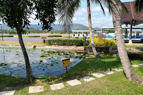 auf dem Flughafen von Ko Samui