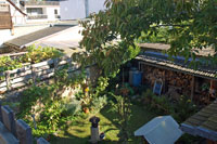 Blick in den Garten