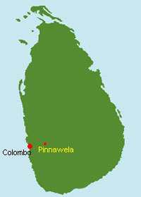Sri Lanka Karte mit Pinnawela