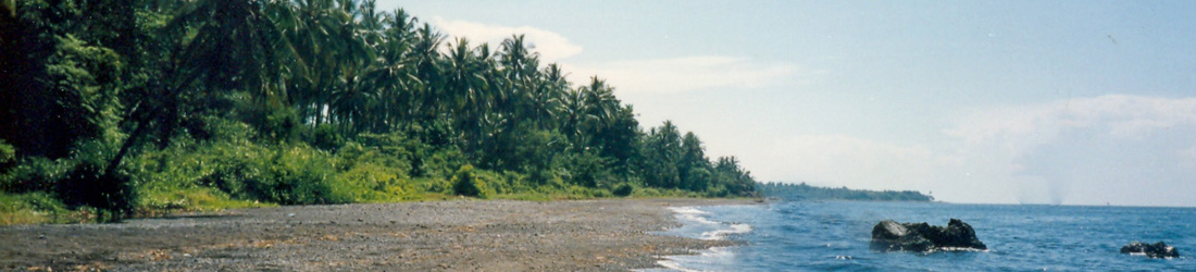 der Strand von Lovina